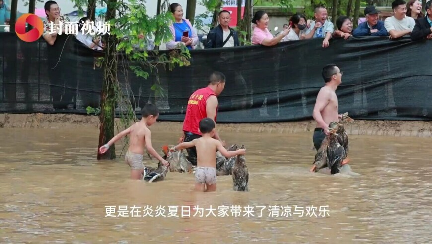 广东茂名发生3.0级地震,正宗香港一肖一码,确保成语解释落实的问题_精简版V12.47